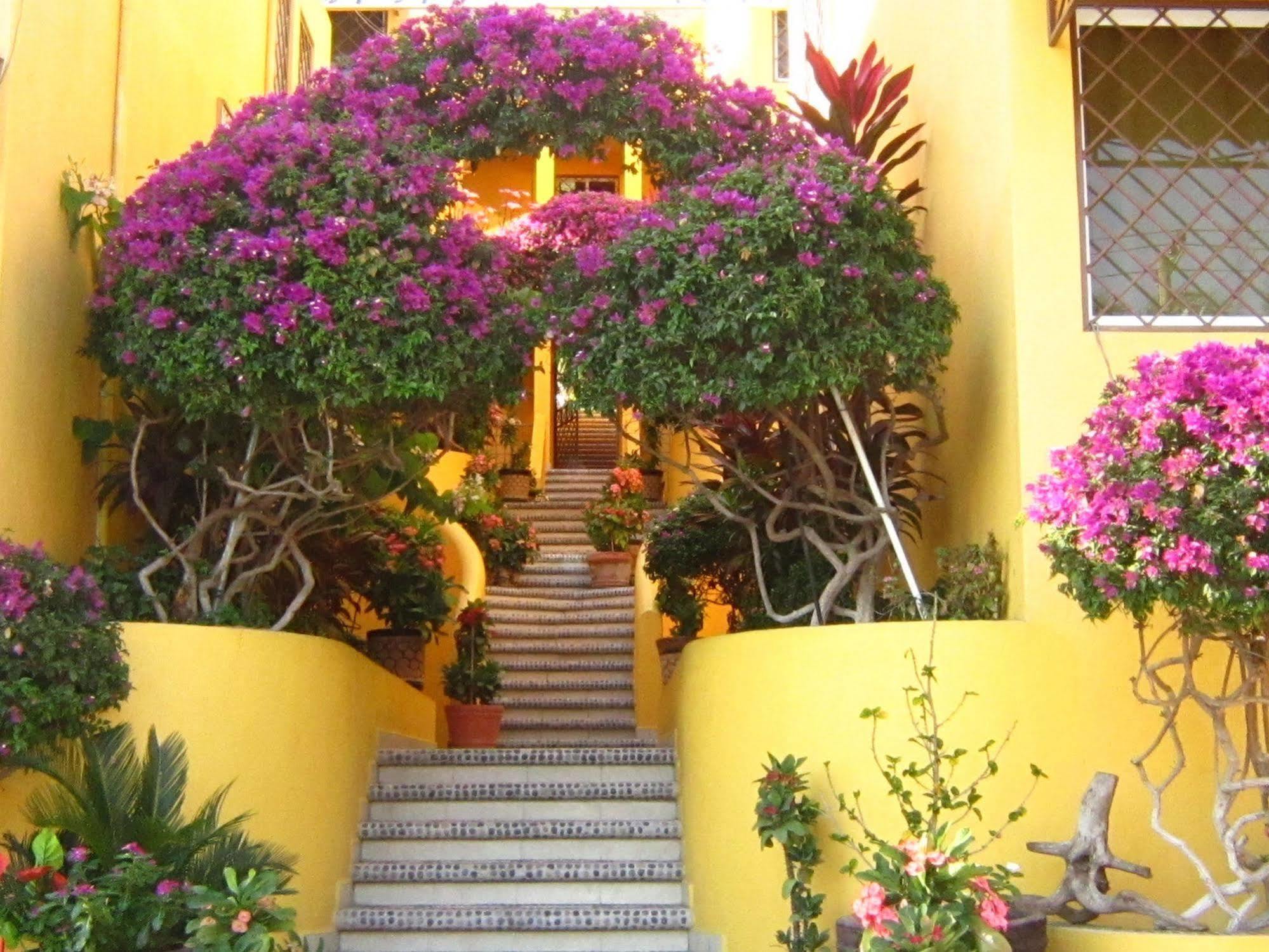 HOTEL VILLAS AMARILLAS ZIHUATANEJO 2* (Mexico) | BOOKED